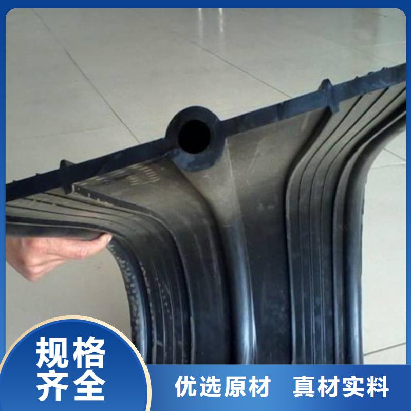 <那曲> 本地 橡胶止水带球铰支座精选厂家好货