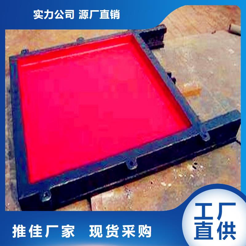 铸铁闸门 【平板钢闸门】敢与同行比服务