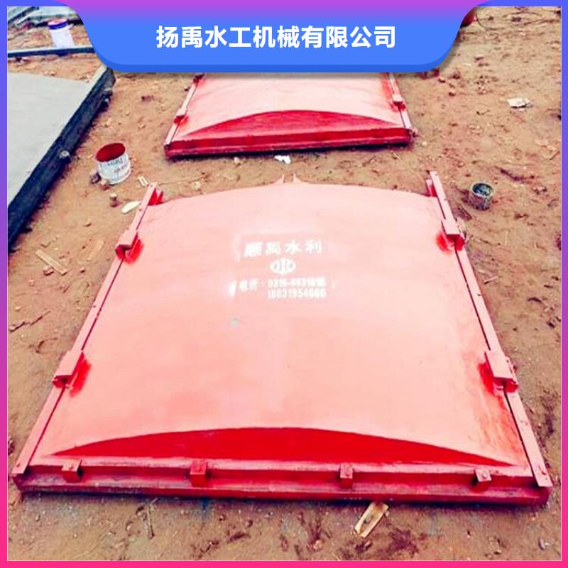 铸铁闸门拦污栅专注品质