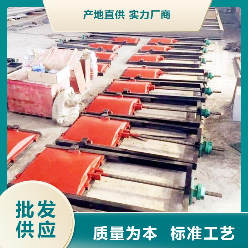【铸铁闸门启闭机闸门追求品质】