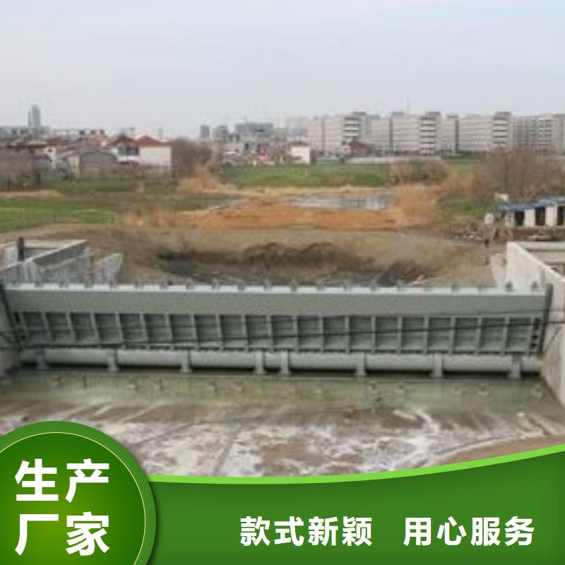 翻板闸门厂家直接面向客户