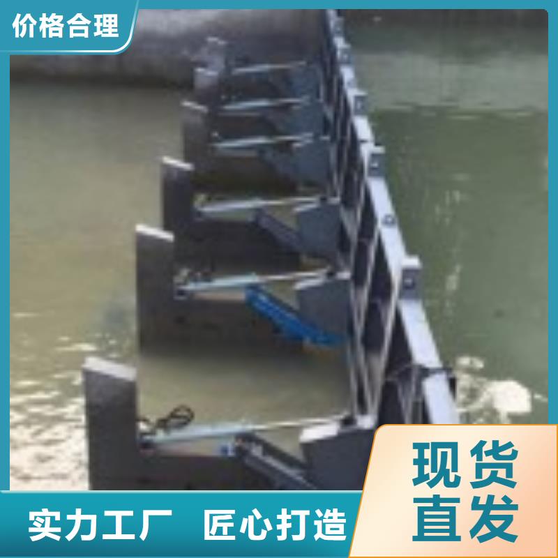 【翻板闸门_钢制闸门品质值得信赖】