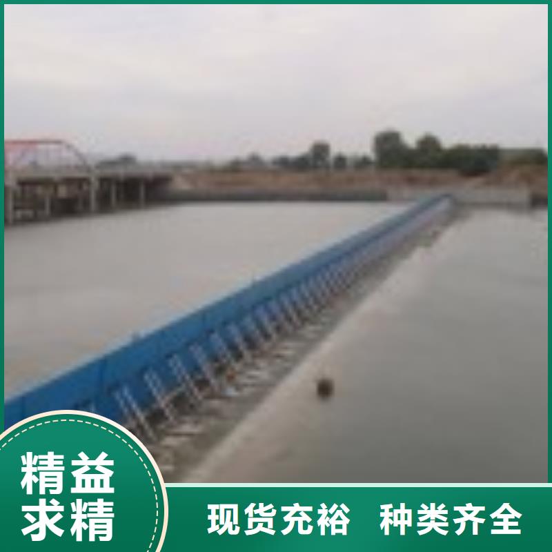 翻板闸门_铸铁拍门定制定做