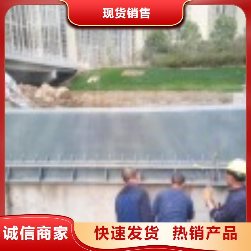 翻板闸门定制定做