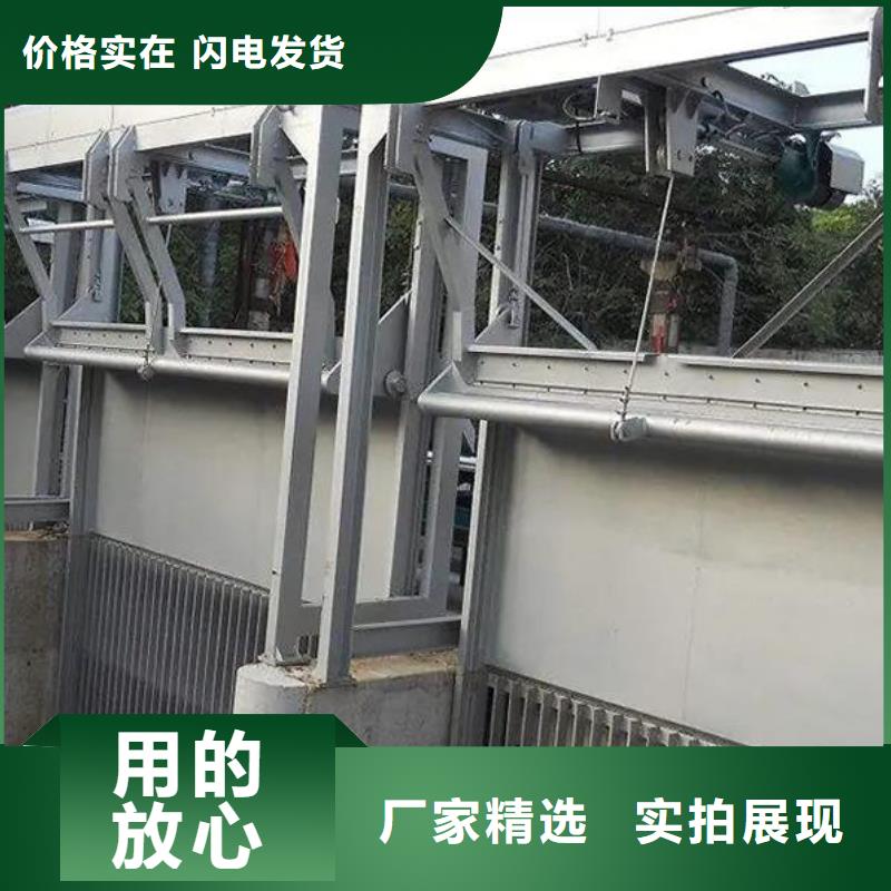 清污机-钢制拍门高质量高信誉