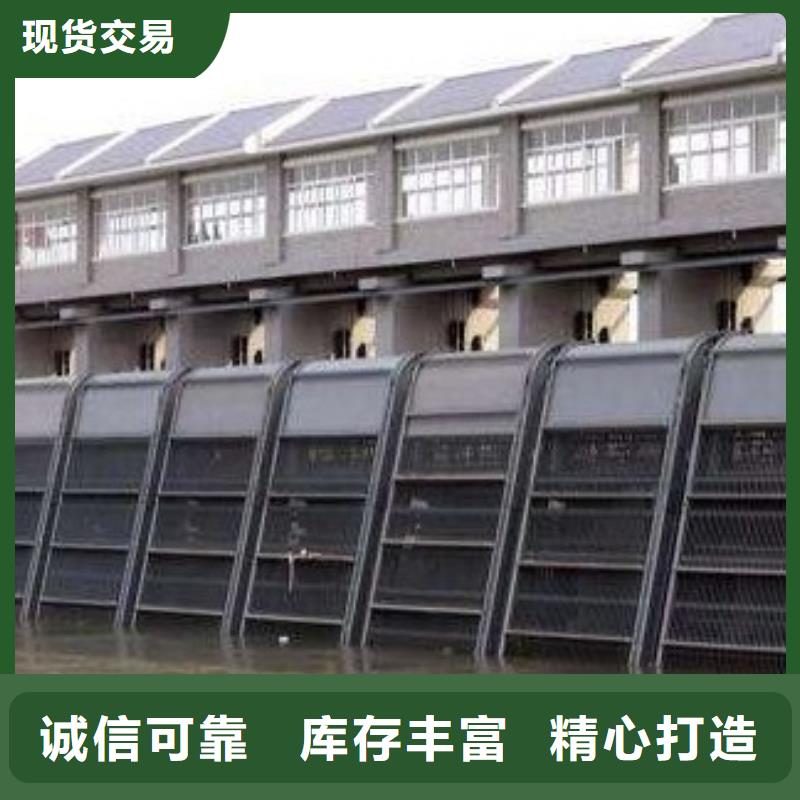 清污机钢制闸门供您所需