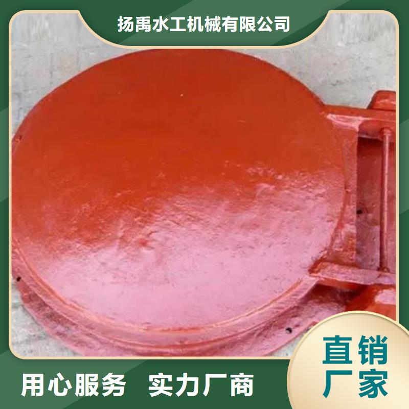 拍门手摇卷扬启闭机实拍品质保障