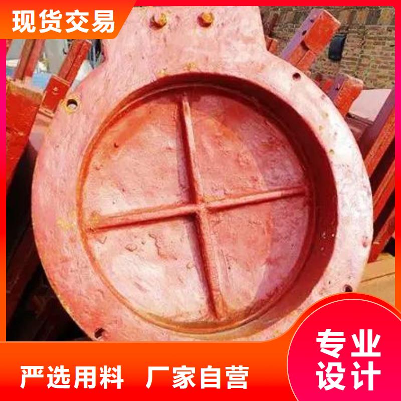 【拍门玻璃钢拍门品质优选】