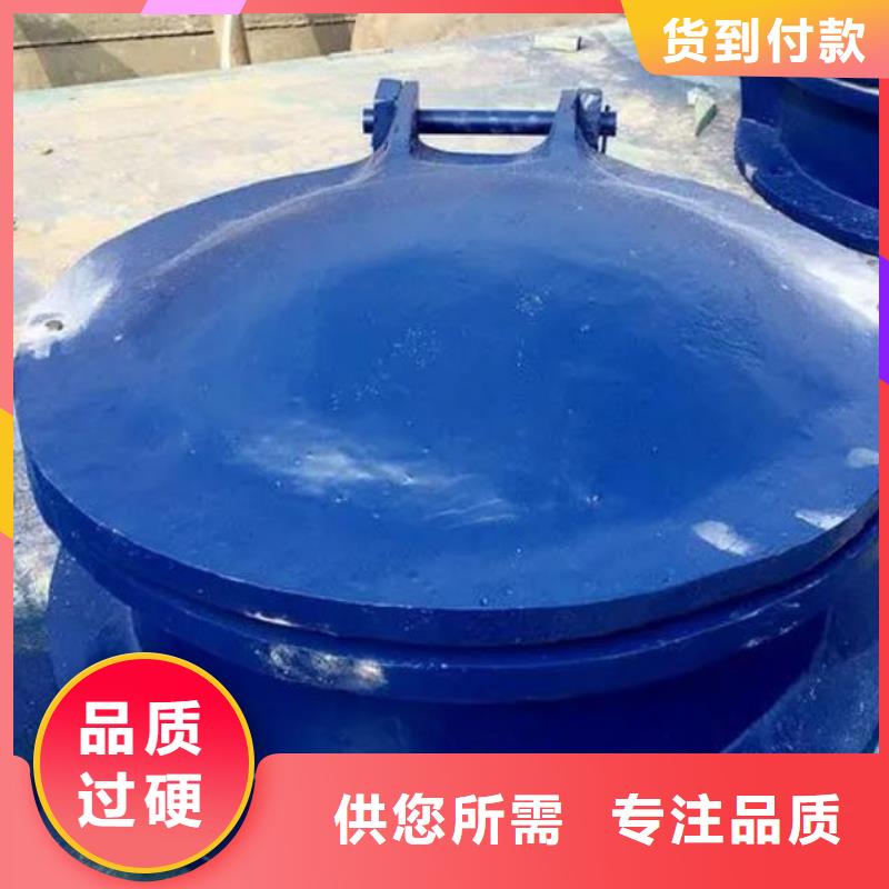 拍门球墨铸铁闸门厂家现货直发