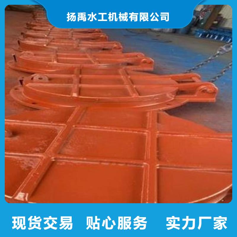 拍门实力雄厚品质保障