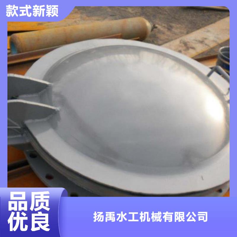 拍门-钢制拍门厂家用心做品质