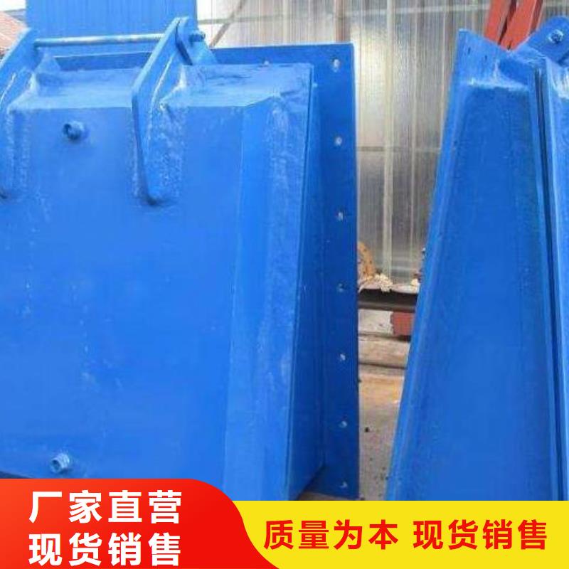 拍门钢制闸门产品实拍