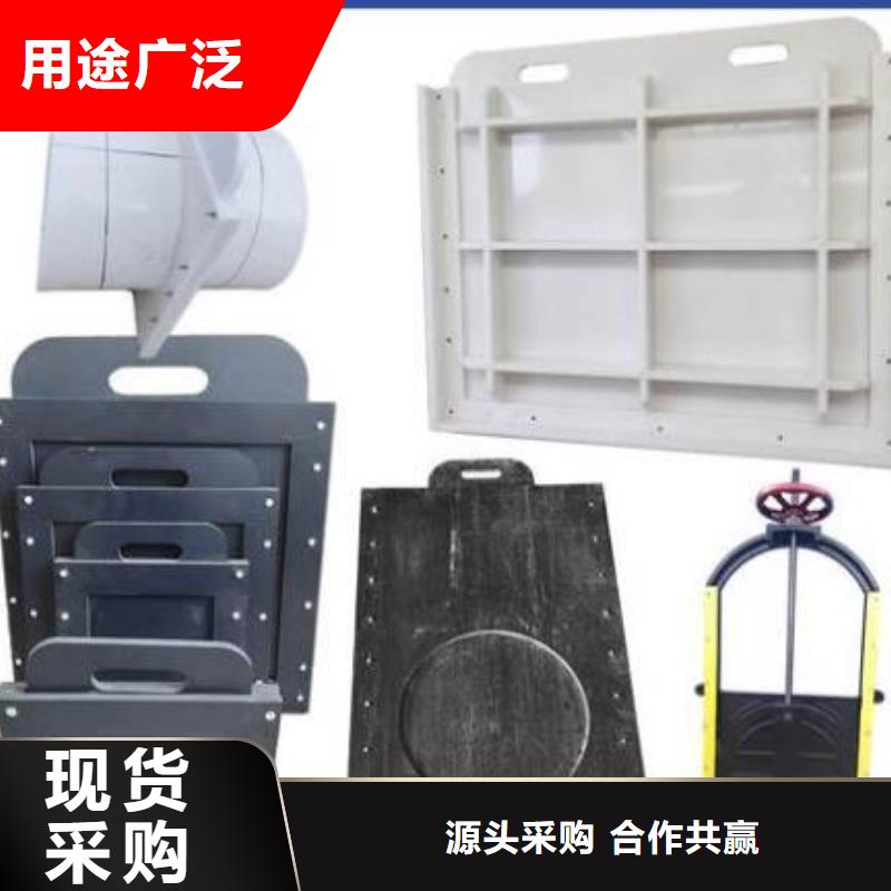 塑料闸门-铸铁闸门设备齐全支持定制