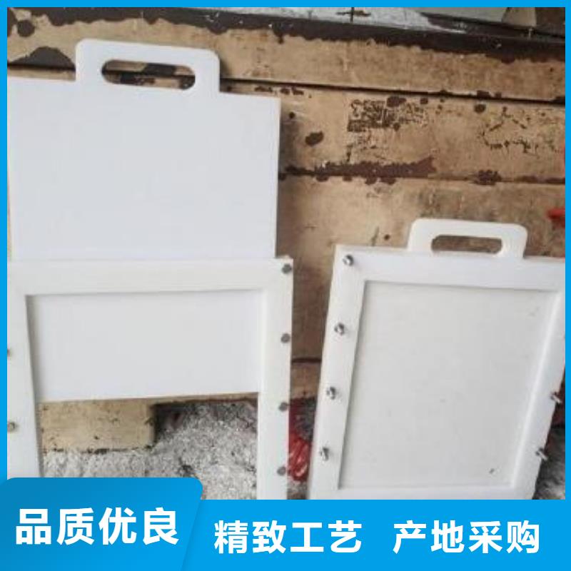 塑料闸门 铸铁闸门技术先进