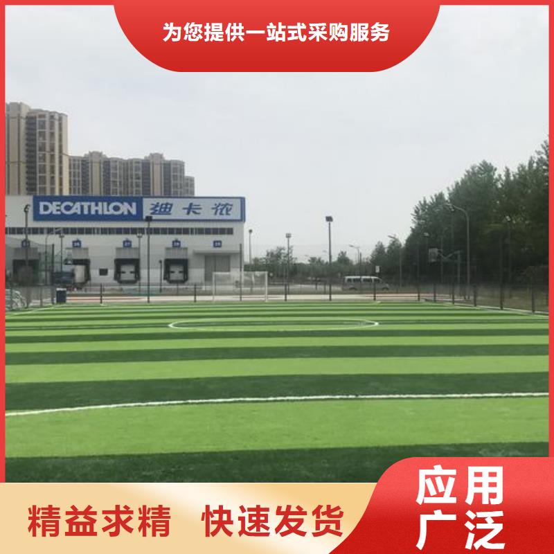 塑胶跑道【人造草坪厂家】详细参数