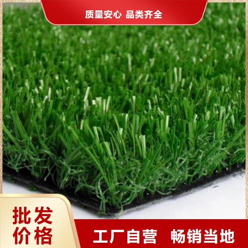 塑胶跑道【人造草坪厂家】详细参数