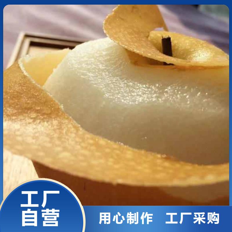 梨梨树苗基地批发供应