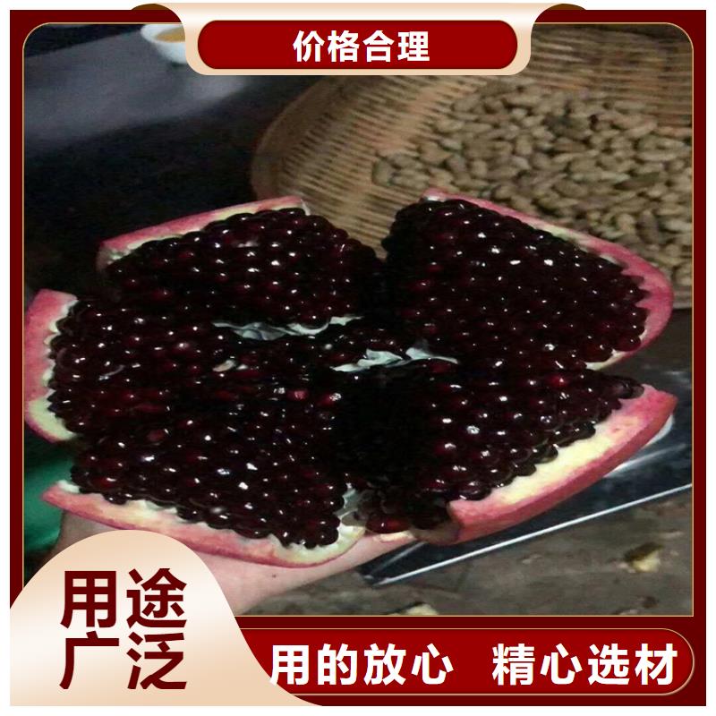 【石榴,樱桃苗追求品质】