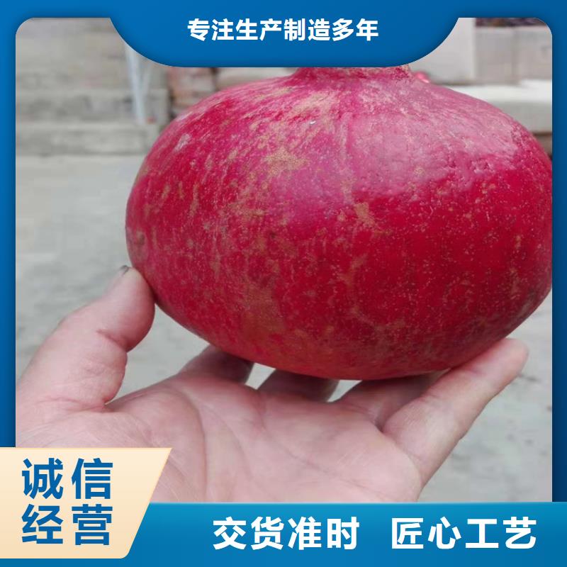 石榴苹果苗品牌专营