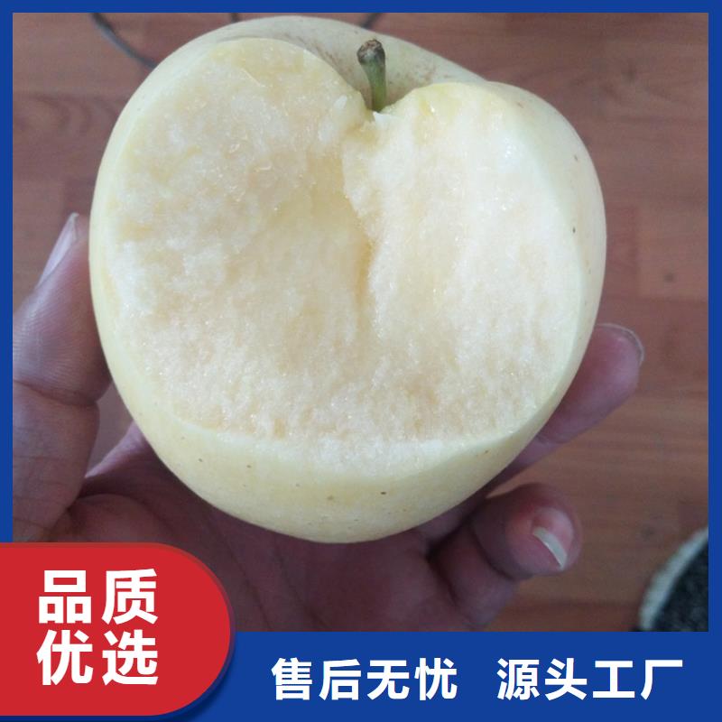 【苹果】_石榴树应用领域