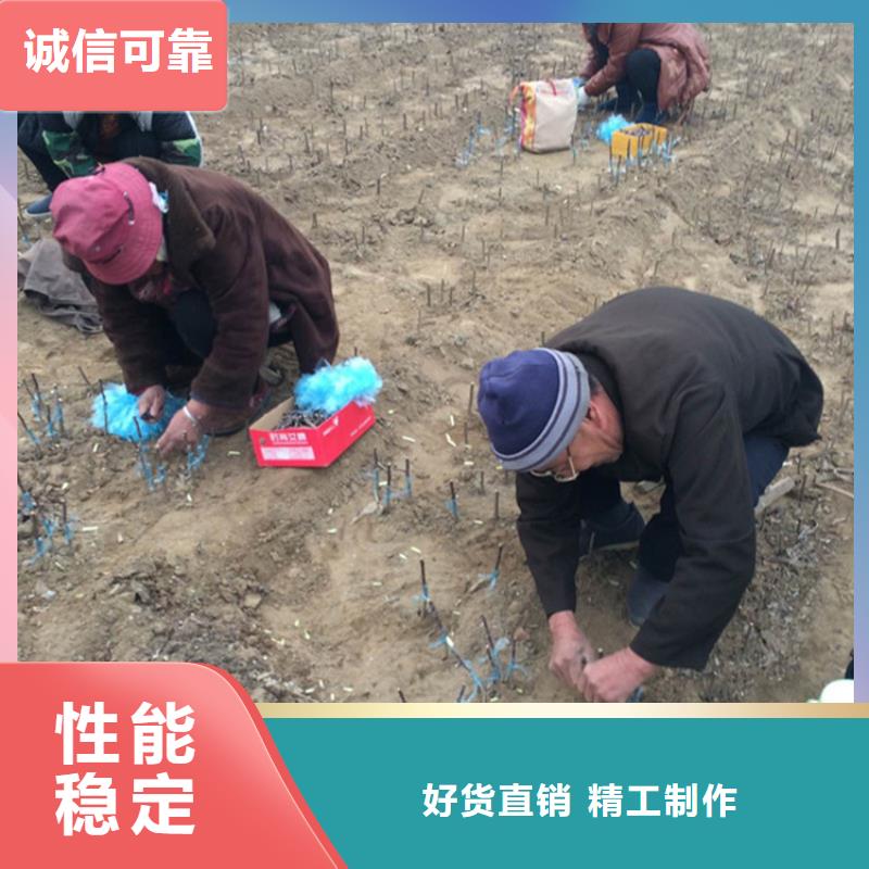 【苹果】_石榴树应用领域