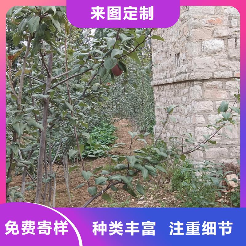 【梨树】,猕猴桃苗物流配送