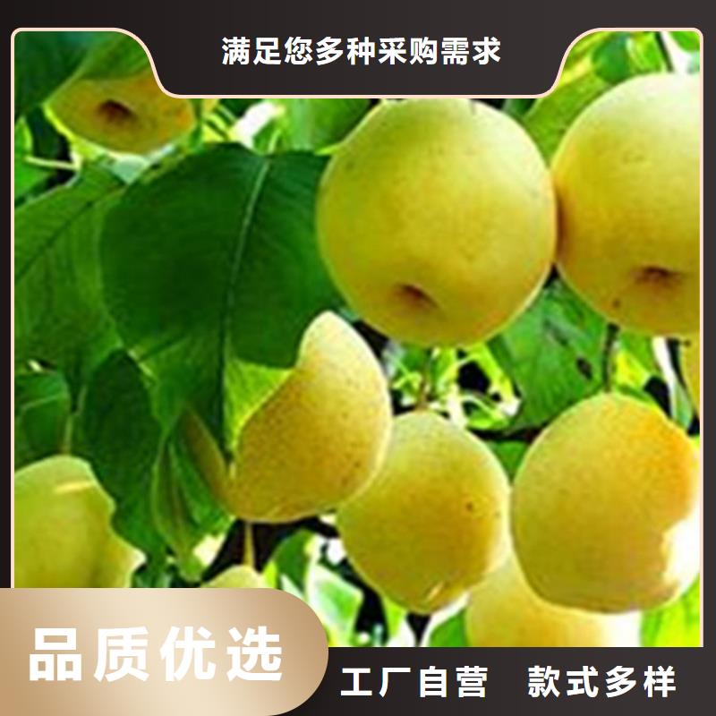 <张家界>(本地)梨树桃树苗专注产品质量与服务
