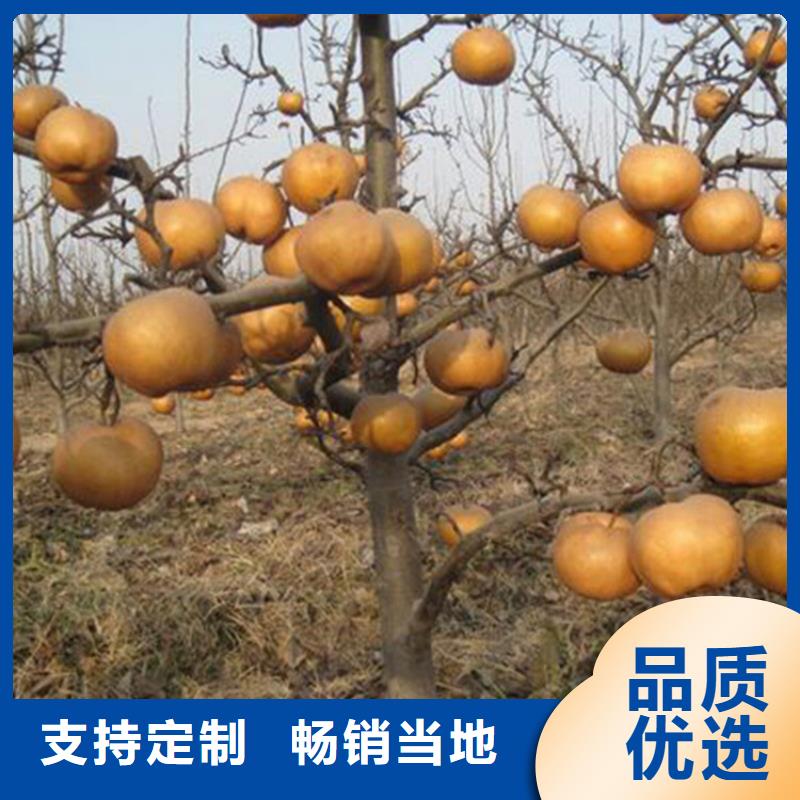 <张家界>(本地)梨树桃树苗专注产品质量与服务