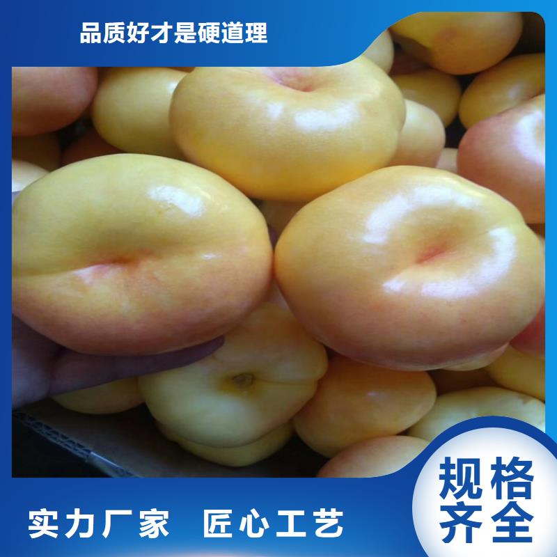桃石榴树研发生产销售