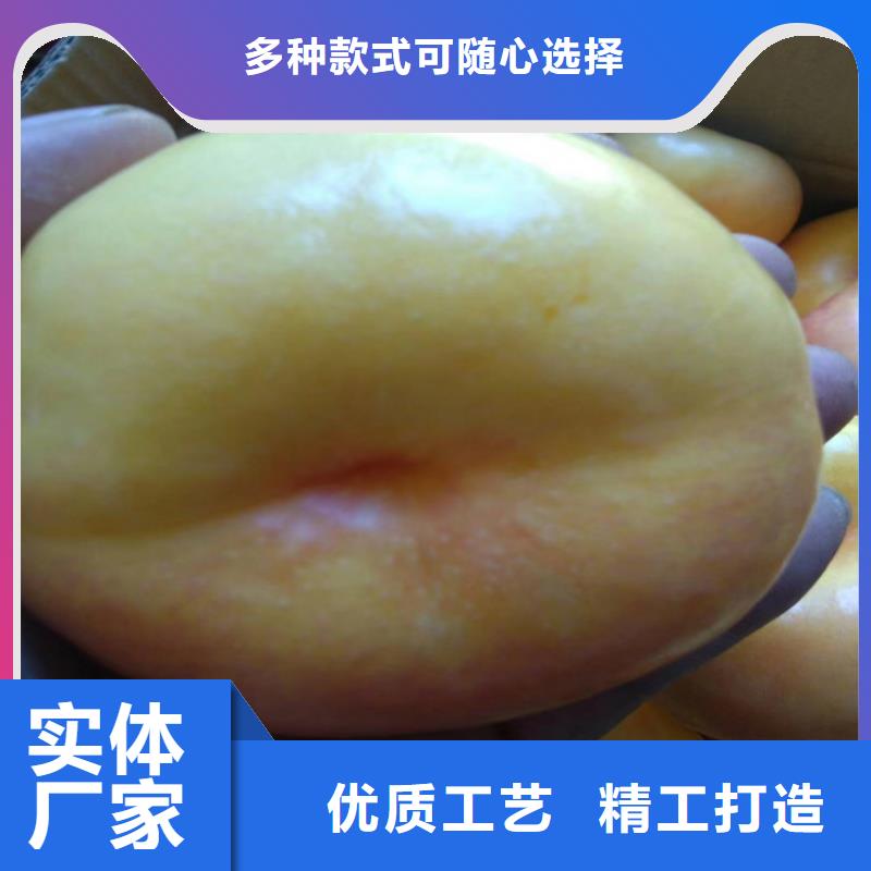 桃无花果苗快捷物流