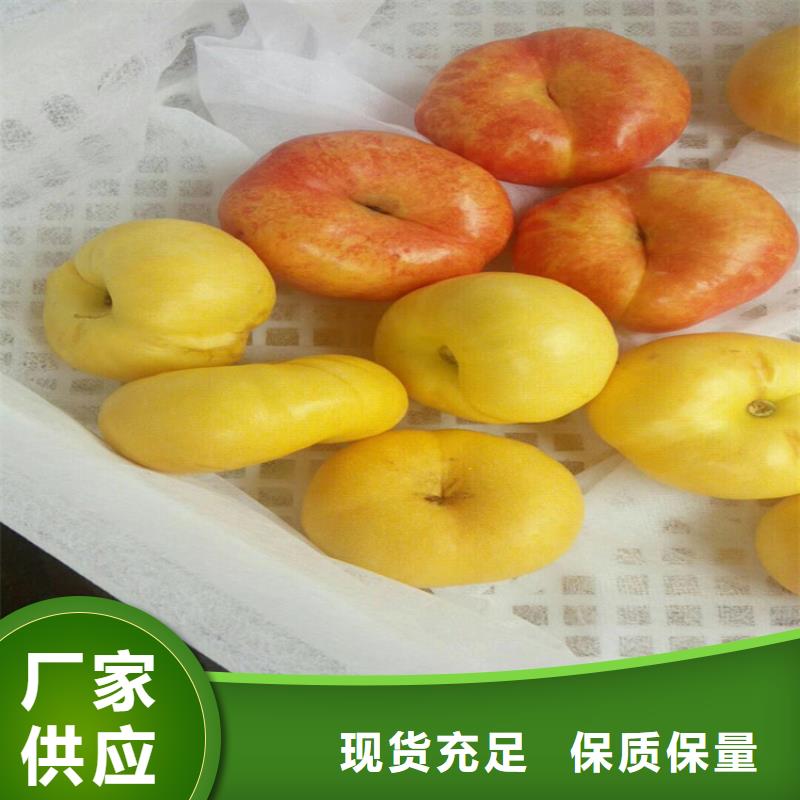 桃石榴树研发生产销售
