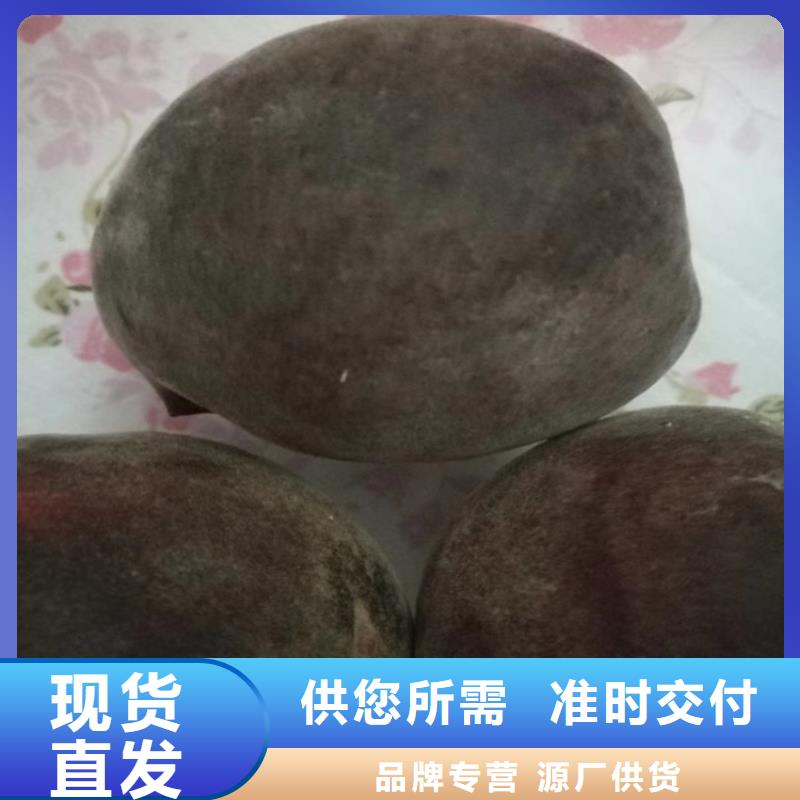 【桃】蓝莓苗实力厂家直销