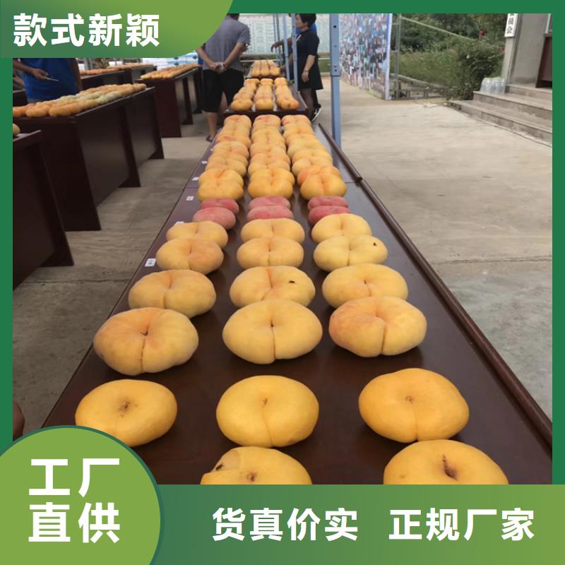 桃,蓝莓苗品质服务诚信为本