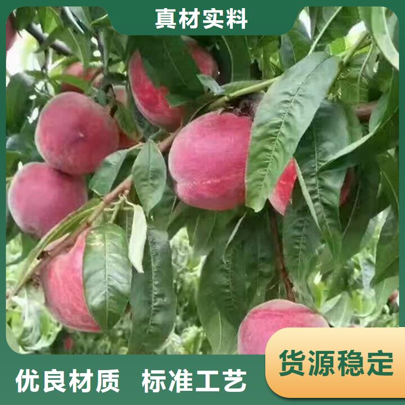 桃_樱桃苗严格把关质量放心