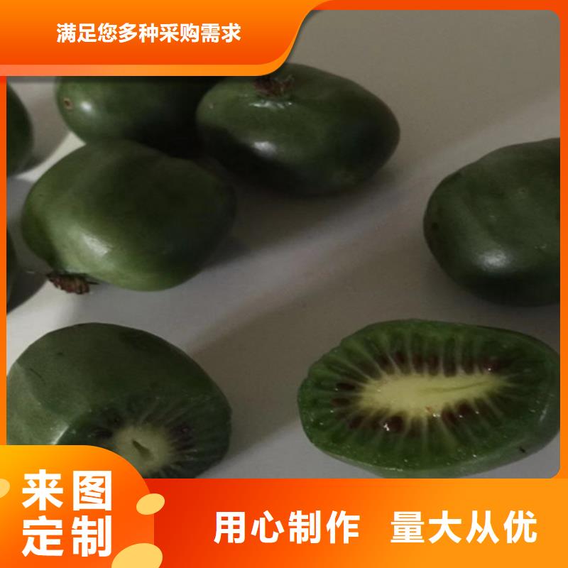 【猕猴桃花椒苗用的放心】