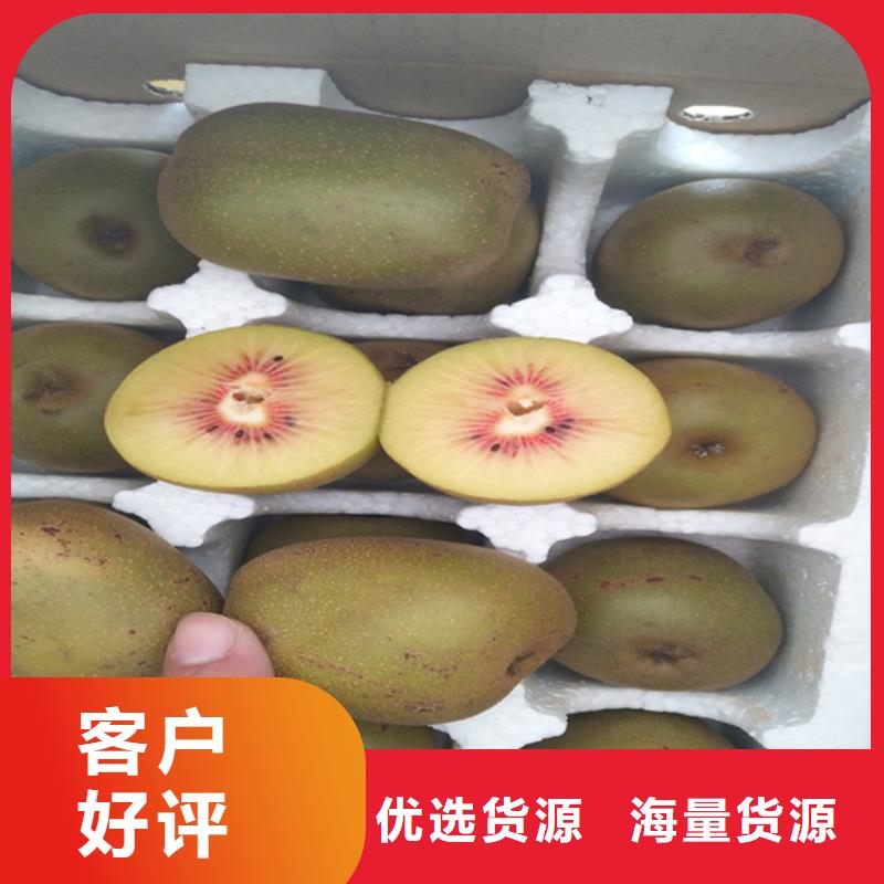 猕猴桃石榴树精选优质材料