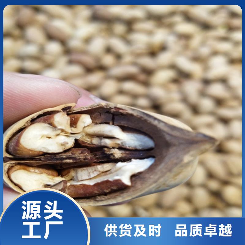 碧根果,苹果苗层层质检
