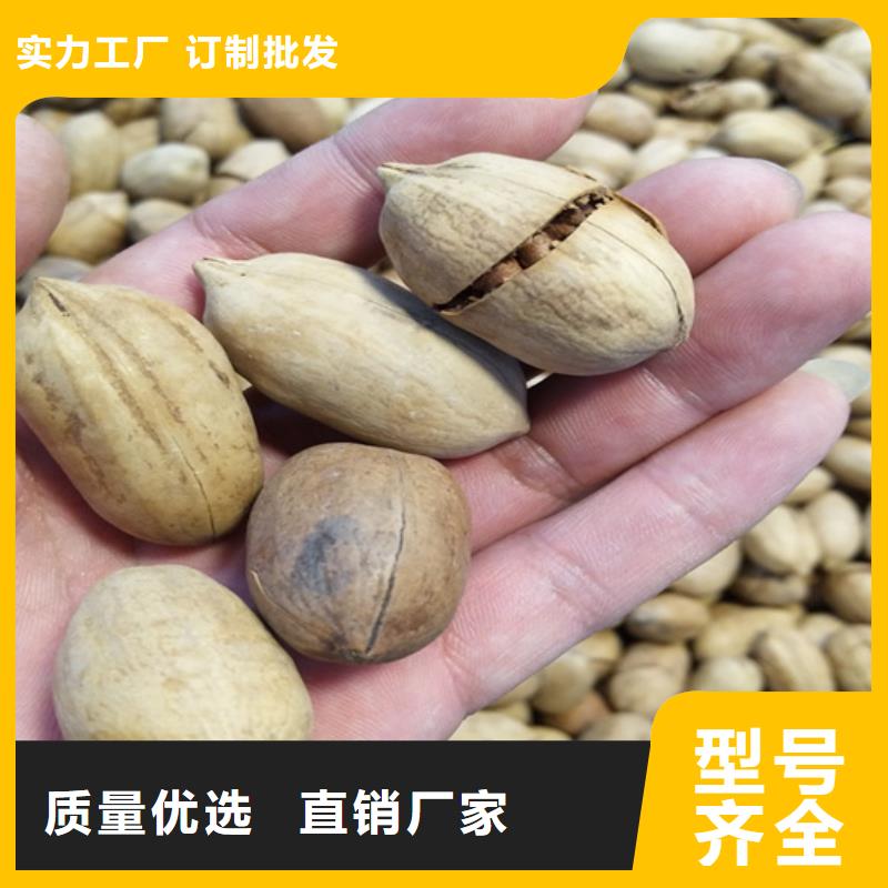 碧根果石榴树细节严格凸显品质