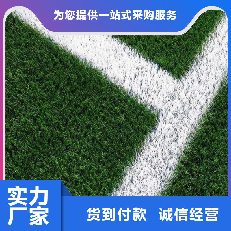 人造草坪质检严格放心品质