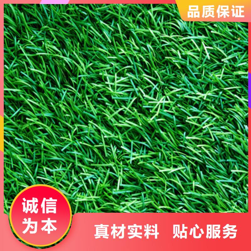 【人造草坪公园步道现货供应】