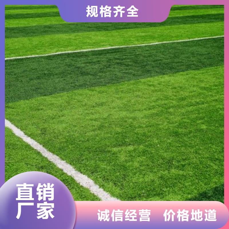 人造草坪体育场塑胶跑道厂家实力雄厚
