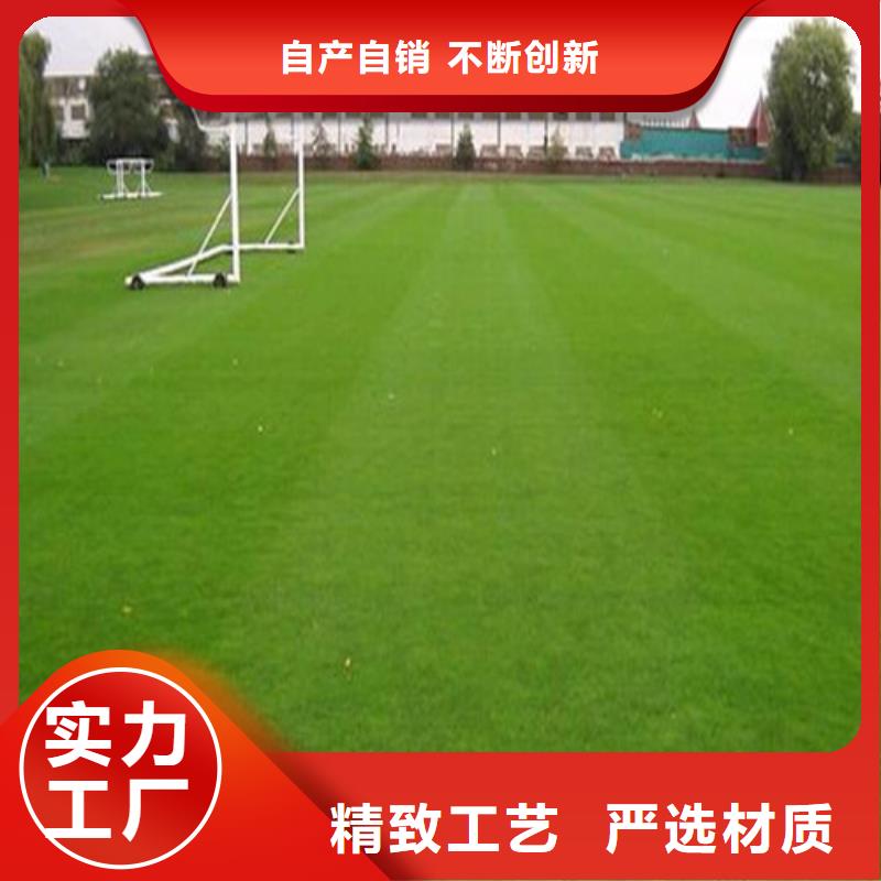 人造草坪质检严格放心品质