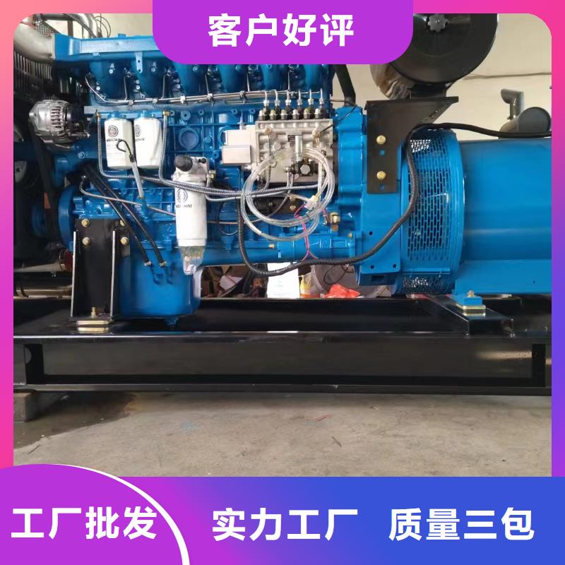 阜城发电机养护