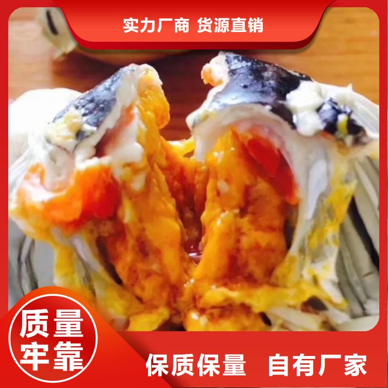 阳澄湖买大闸蟹哪家好阳澄湖吃大闸蟹农家乐比较正宗