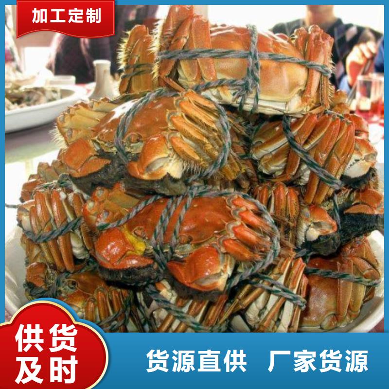 去阳澄湖蟹哪里正宗在苏州阳澄湖