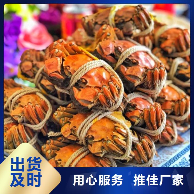 去阳澄湖蟹哪里正宗在苏州阳澄湖