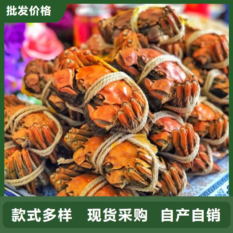 阳澄湖买大闸蟹哪家好阳澄湖吃大闸蟹农家乐比较正宗