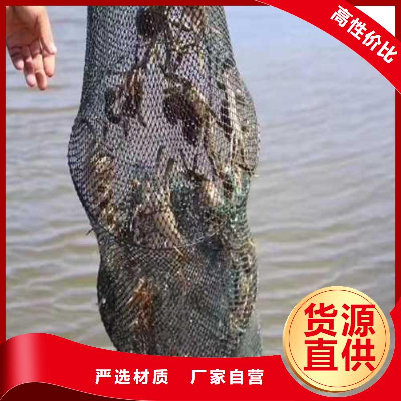 阳澄湖买大闸蟹哪家好阳澄湖吃大闸蟹农家乐比较正宗