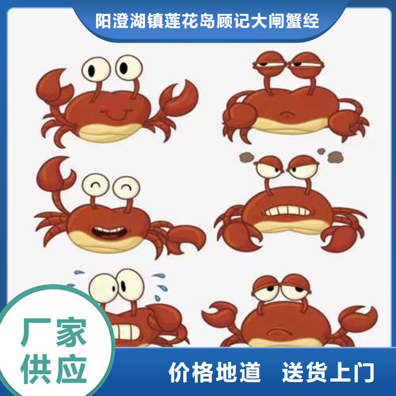 苏州阳澄湖大闸蟹那家实惠好吃