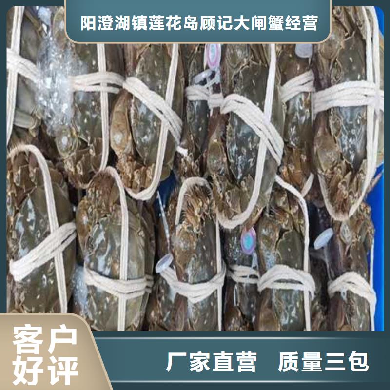 莲花岛大闸蟹哪家比较好吃